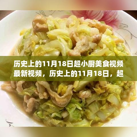 历史上的11月18日，超小厨美食视频最新篇章，领略美食魅力的独特视角