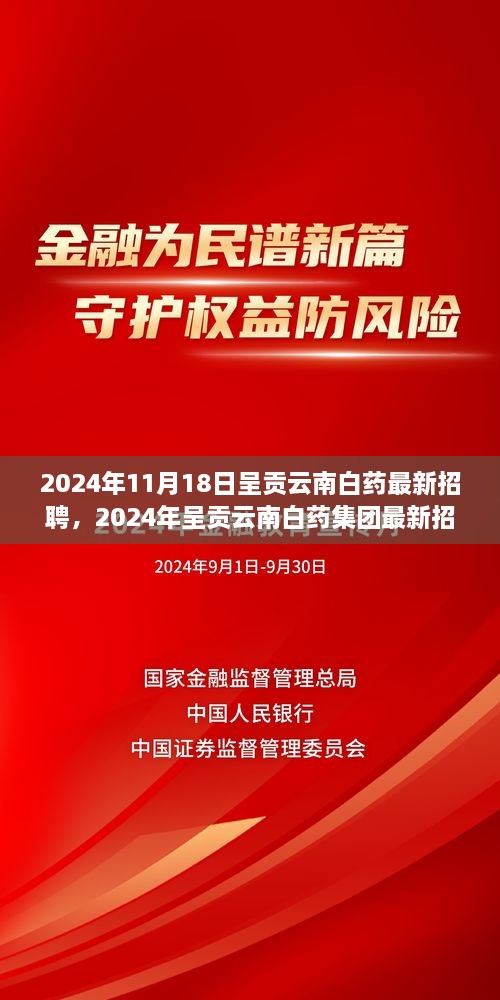 2024年呈贡云南白药集团最新招聘动向，职业发展的理想选择