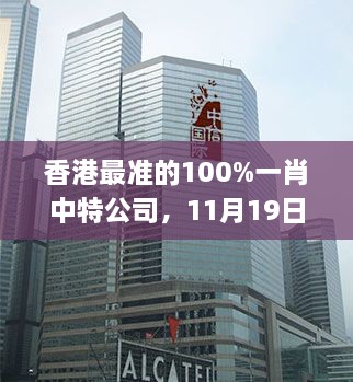 香港最准的100%一肖中特公司，11月19日效果设计方案_VUH8.46.84抓拍版