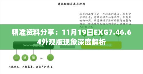 精准资料分享：11月19日EXG7.46.64外观版现象深度解析