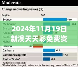 2024年11月19日新澳天天彩免费资料实时信息解析_FQE2.31.45自助版