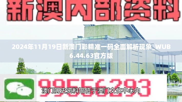 2024年11月19日新澳门彩精准一码全面解析现象_WUB6.44.63官方版