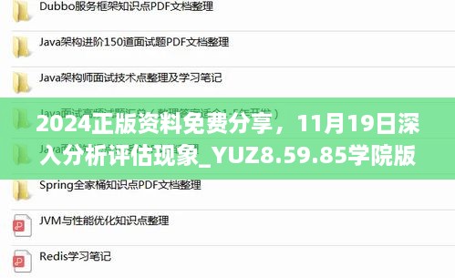 2024正版资料免费分享，11月19日深入分析评估现象_YUZ8.59.85学院版