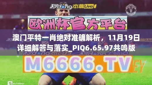 澳门平特一肖绝对准确解析，11月19日详细解答与落实_PIQ6.65.97共鸣版