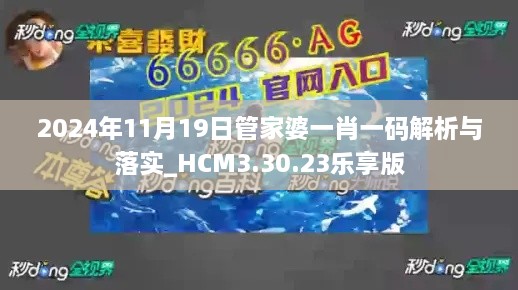 2024年11月19日管家婆一肖一码解析与落实_HCM3.30.23乐享版