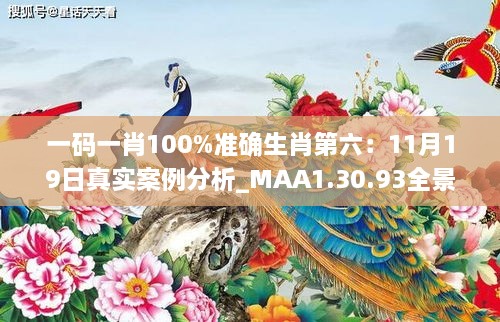 一码一肖100%准确生肖第六：11月19日真实案例分析_MAA1.30.93全景版