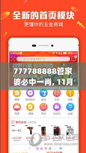 777788888管家婆必中一肖, 11月19日公开, 时代信息解读执行_FZM5.44.27稳定版