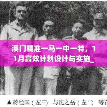 澳门精准一马一中一特，11月高效计划设计与实施_IPT3.72.61实用版