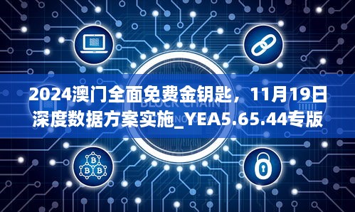 2024澳门全面免费金钥匙，11月19日深度数据方案实施_YEA5.65.44专版