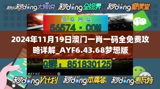 2024年11月19日澳门一肖一码全免费攻略详解_AYF6.43.68梦想版