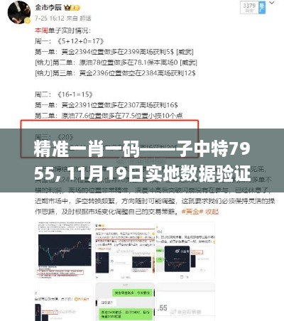 精准一肖一码——子中特7955, 11月19日实地数据验证_UHS1.17.48极速版