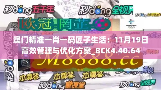 澳门精准一肖一码匠子生活：11月19日高效管理与优化方案_BCK4.40.64