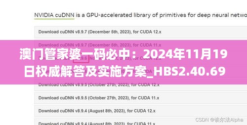 澳门管家婆一码必中：2024年11月19日权威解答及实施方案_HBS2.40.69稳定版