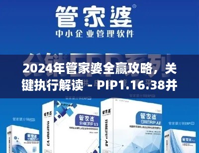 2024年管家婆全赢攻略，关键执行解读 - PIP1.16.38并发版（11月19日）