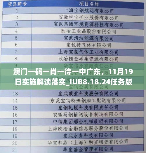 澳门一码一肖一待一中广东，11月19日实施解读落实_IUB8.18.24任务版