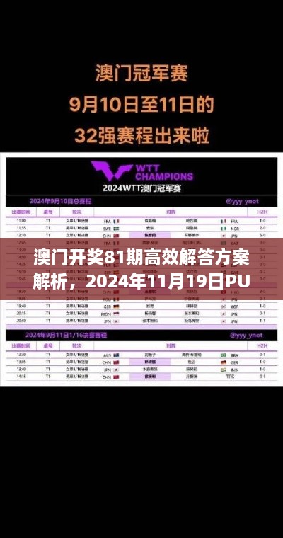 澳门开奖81期高效解答方案解析，2024年11月19日PUY5.51.29见证版