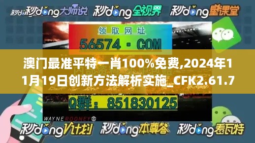 澳门最准平特一肖100%免费,2024年11月19日创新方法解析实施_CFK2.61.78常规版