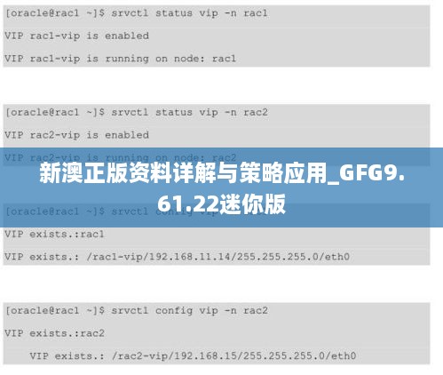 新澳正版资料详解与策略应用_GFG9.61.22迷你版