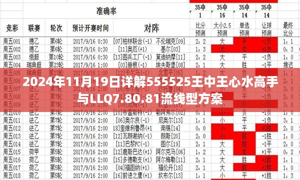 2024年11月19日详解555525王中王心水高手与LLQ7.80.81流线型方案