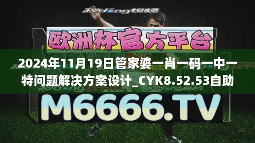 2024年11月19日管家婆一肖一码一中一特问题解决方案设计_CYK8.52.53自助版