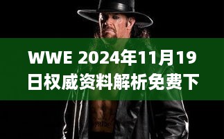 WWE 2024年11月19日权威资料解析免费下载_IWL4.45.88珍贵版本