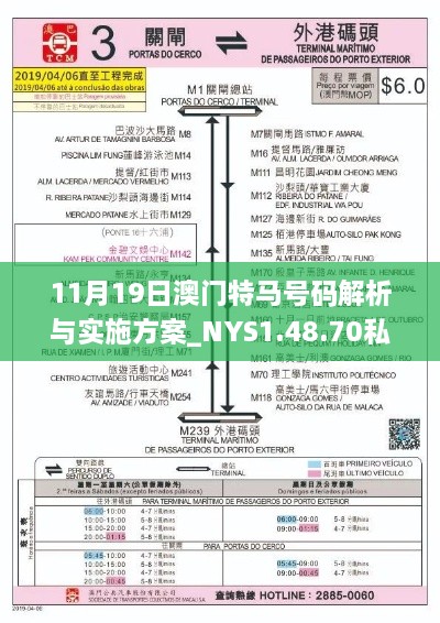 11月19日澳门特马号码解析与实施方案_NYS1.48.70私人版