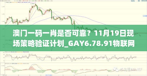 澳门一码一肖是否可靠？11月19日现场策略验证计划_GAY6.78.91物联网版本