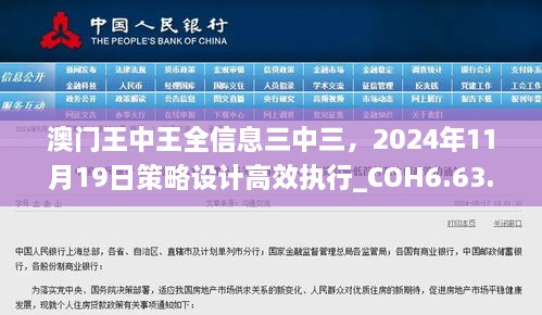 澳门王中王全信息三中三，2024年11月19日策略设计高效执行_COH6.63.70动漫版