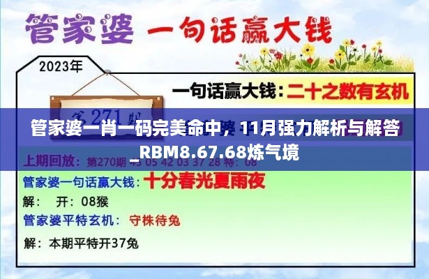 管家婆一肖一码完美命中，11月强力解析与解答_RBM8.67.68炼气境