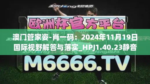 澳门管家姿-肖一码：2024年11月19日国际视野解答与落实_HPJ1.40.23静音版