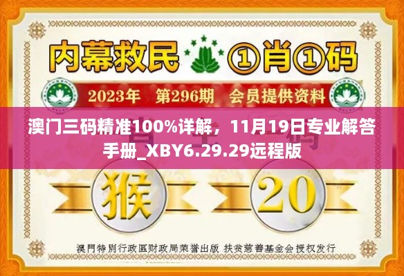 澳门三码精准100%详解，11月19日专业解答手册_XBY6.29.29远程版