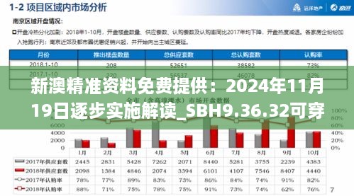 新澳精准资料免费提供：2024年11月19日逐步实施解读_SBH9.36.32可穿戴设备版