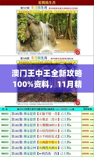 澳门王中王全新攻略100%资料，11月精准解析与解答策略_UUK2.46.42更新版