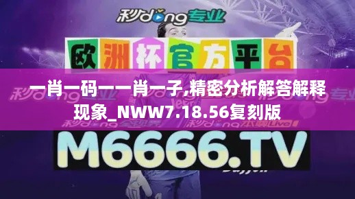 一肖一码一一肖一子,精密分析解答解释现象_NWW7.18.56复刻版