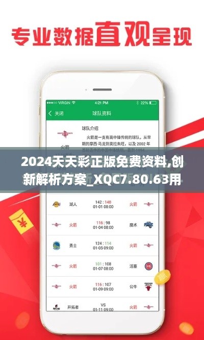 2024天天彩正版免费资料,创新解析方案_XQC7.80.63用心版