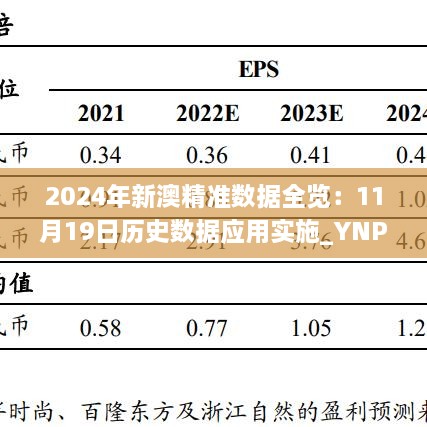 2024年新澳精准数据全览：11月19日历史数据应用实施_YNP2.78.73计算版