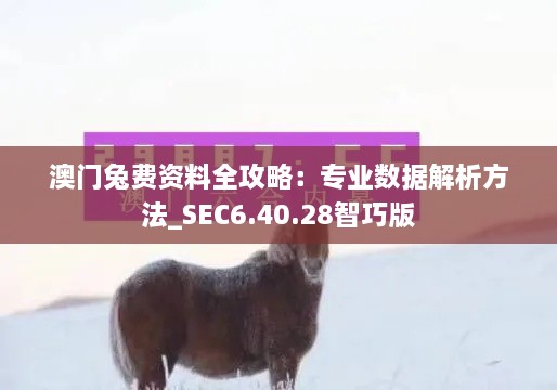 澳门兔费资料全攻略：专业数据解析方法_SEC6.40.28智巧版