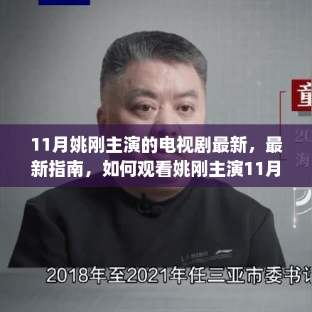 姚刚主演11月热播电视剧观看指南，最新电视剧推荐与观看方式