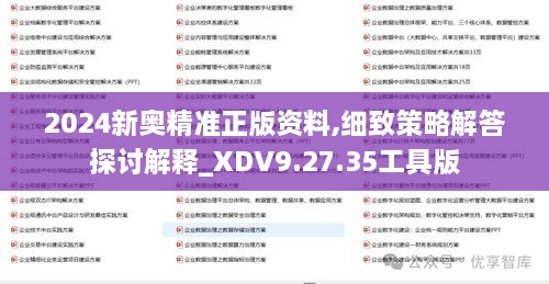 2024新奥精准正版资料,细致策略解答探讨解释_XDV9.27.35工具版