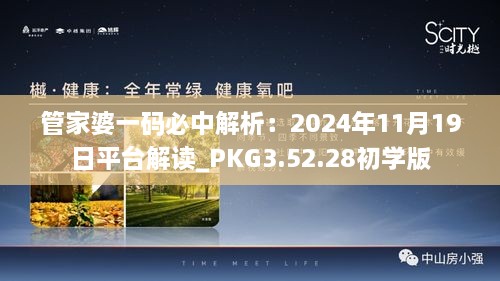 管家婆一码必中解析：2024年11月19日平台解读_PKG3.52.28初学版