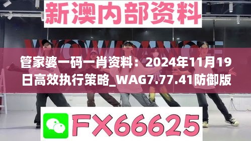 管家婆一码一肖资料：2024年11月19日高效执行策略_WAG7.77.41防御版