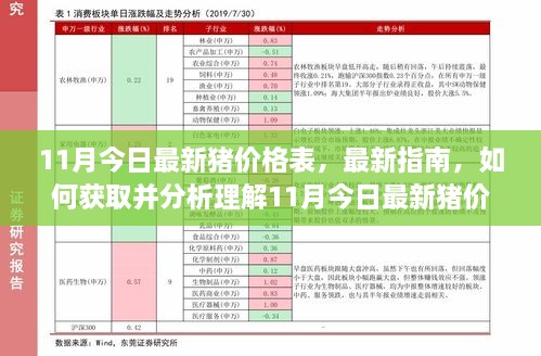 最新指南，获取并分析理解11月猪价格表，今日最新猪价格一览