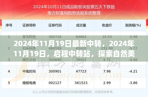 启程中转站，探索自然美景的治愈之旅（2024年11月19日最新中转）