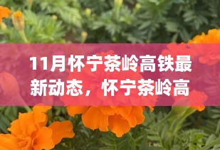 怀宁茶岭高铁新进展，变化中的学习之旅，自信与成就感的启程