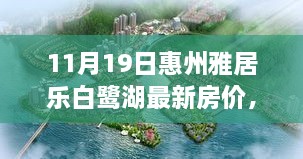 惠州雅居乐白鹭湖最新房价动态与时代背景下的深度观察