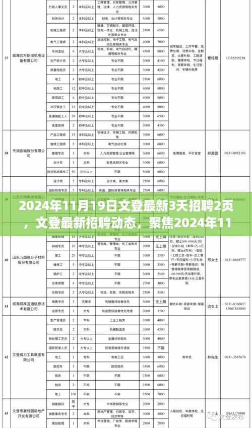 2024年文登最新招聘动态，聚焦最新招聘盛况