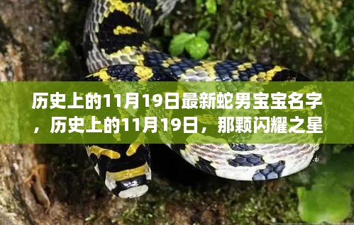 历史上的蛇男宝宝名字背后的励志故事，闪耀之星下的励志成长之路（11月19日）