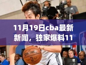 独家爆料，CBA赛场风云变幻，最新动态一网打尽（11月19日最新资讯）