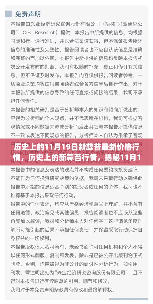 揭秘，历史上的新蒜苔行情与最新价格背后的故事——11月19日行情深度解析