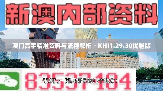 澳门高手精准资料与流程解析 - KHI1.29.30优雅版